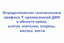 opred-e-genetich-profilya-u-hromosomnoj-dnk-v-obekte-krovi-kletok-ehpiteliya-spermy-volosa-kosti-2
