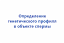 opredelenie-geneticheskogo-profilya-v-obekte-spermy-2