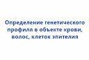 opredelenie-geneticheskogo-profilya-v-obekte-krovi-volos-kletok-ehpiteliya-2