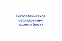 gistologicheskoe-issledovanie-odnogo-bloka-2