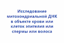 issledovanie-mitohondrialnoj-dnk-v-obekte-krovi-ili-kletok-ehpiteliya-ili-spermy-ili-volosa-2
