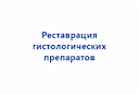 restavraciya-gistologicheskih-preparatov-2