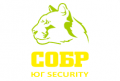 sobr-yug-security